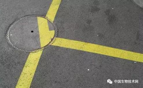 欺骗大脑假手实验完整版沉浸式,欺骗大脑的假手实验国外