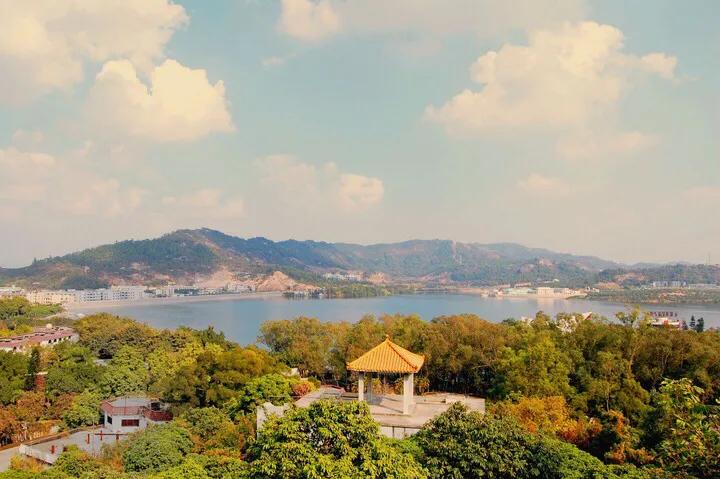 深圳免费公园哪里最好啊,深圳十大免费公园景点大全