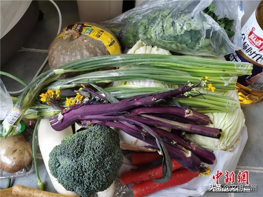 武汉留守日记,武汉留守记完整视频