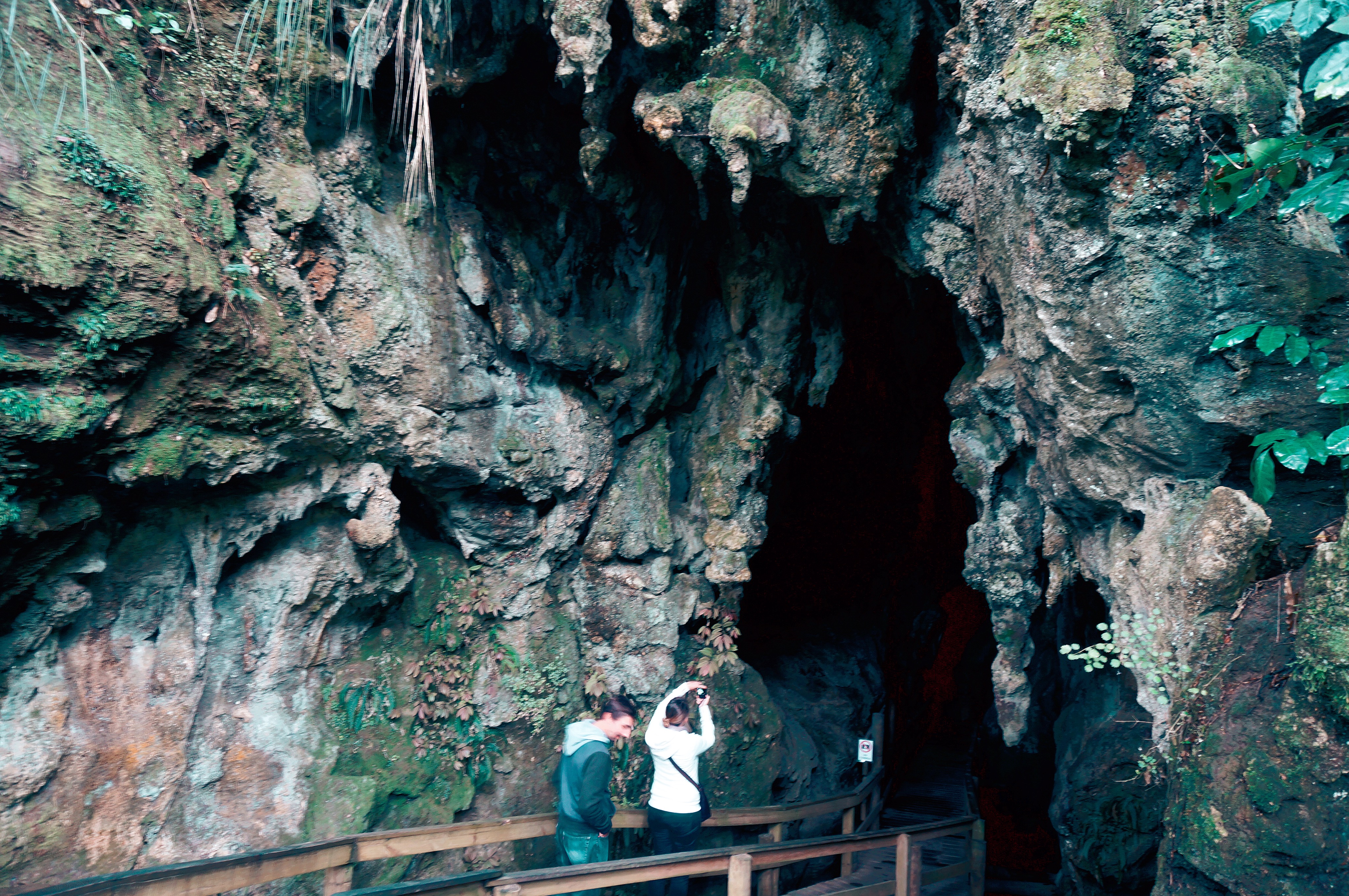 不到4W元的14年中古车，如何陪我闯荡奥克兰（附小众景点干货）