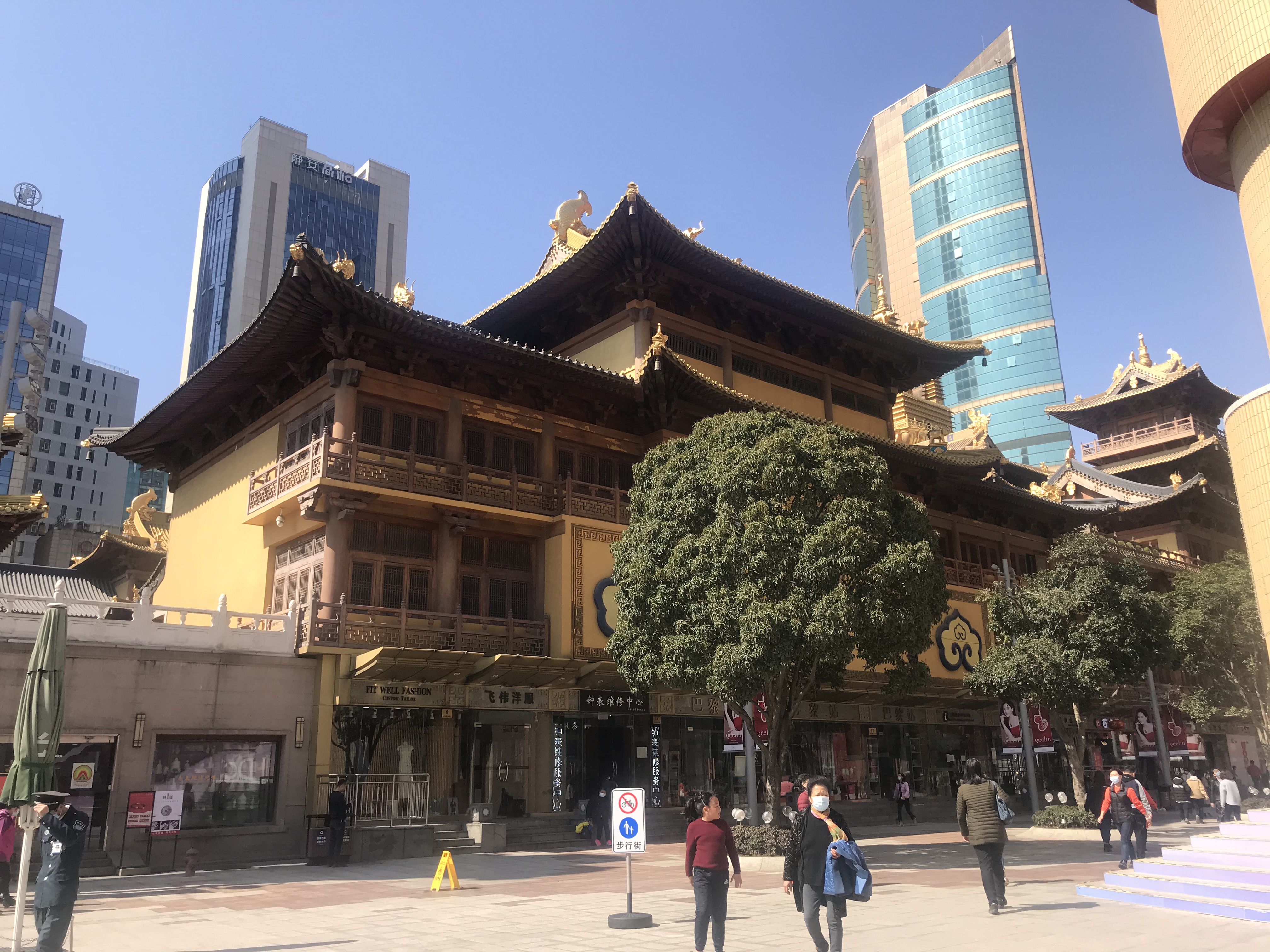 上海的春天视频,上海的春天美景