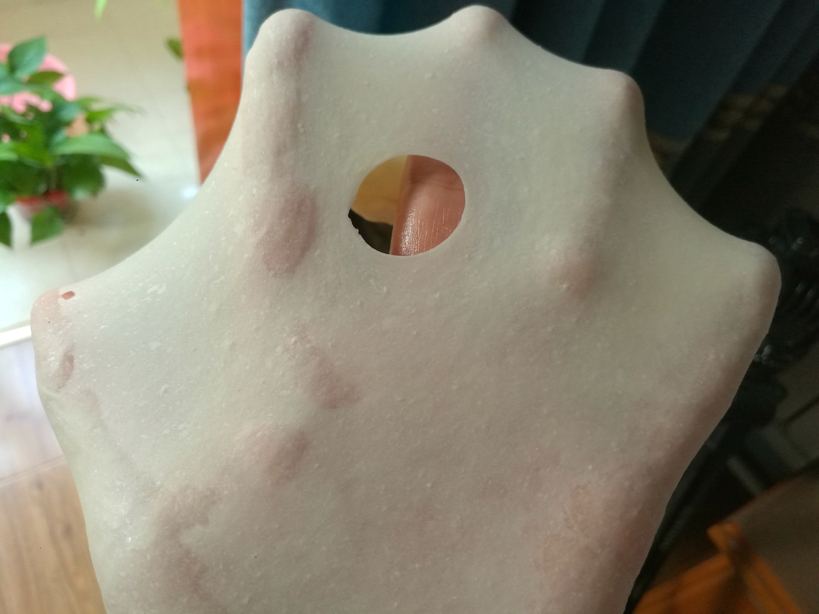 一次发酵的椰蓉吐司,一次发酵葡萄干吐司