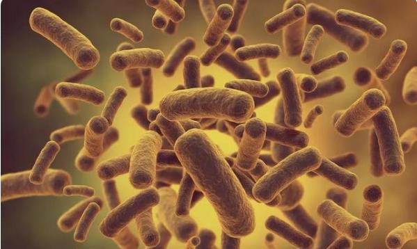 广东江门曝光21批次问题食品，包括水产鱼类、糕点、禽肉食品