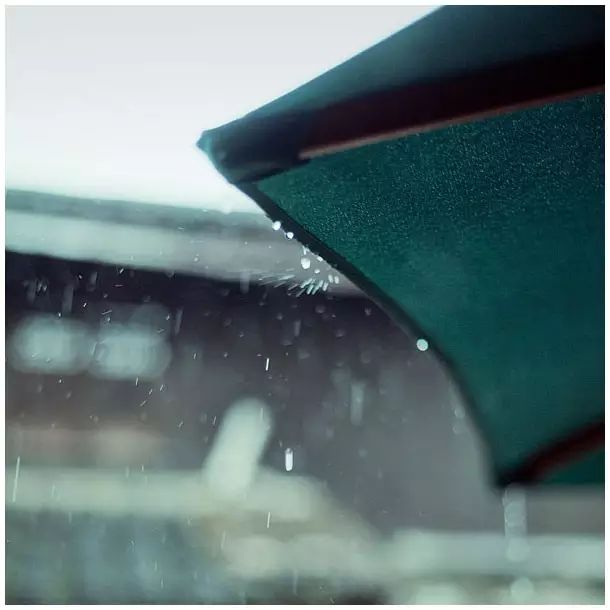 小林｜常恐秋风早，飘零君不知