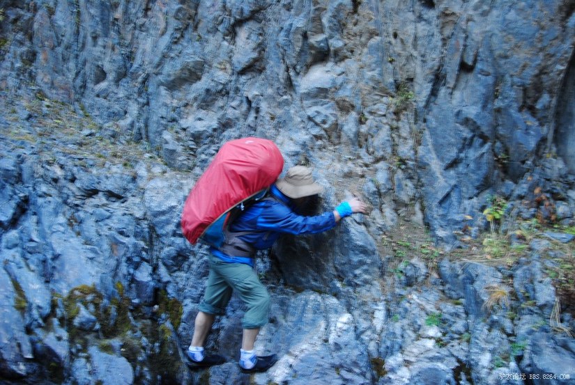 狼c调简谱教唱,狼c