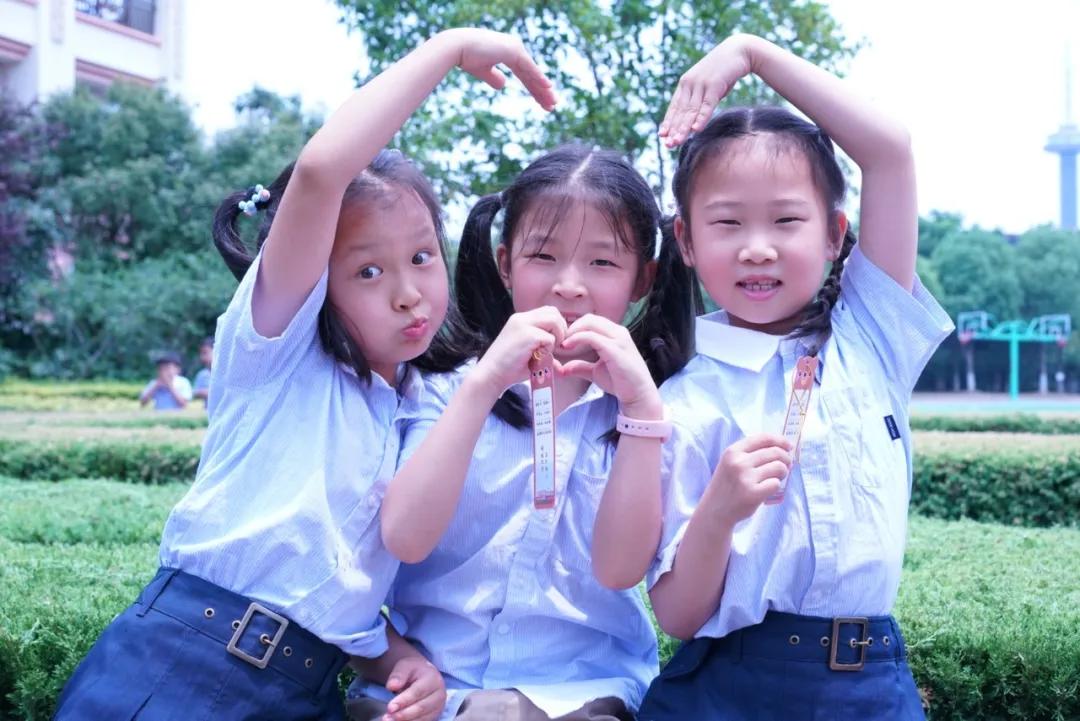 南京河西名校,南京河西中最好的学区