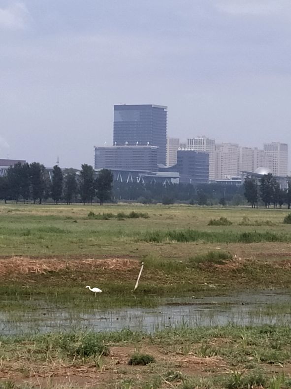 2021年包头五一节免门票景点,五一假期包头可以去呼市吗