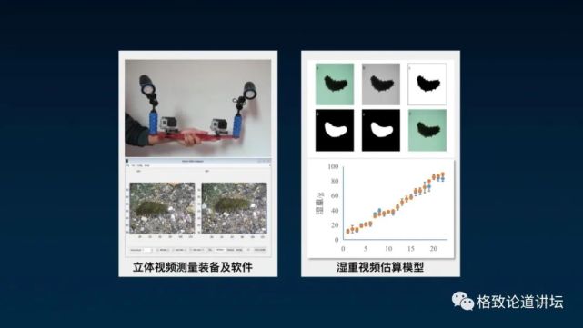 除了能提高人体免疫力，这个“肥宅”还是海底清道夫