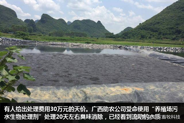 养殖场粪水应该如何处理,养殖场废水无害化处理方法