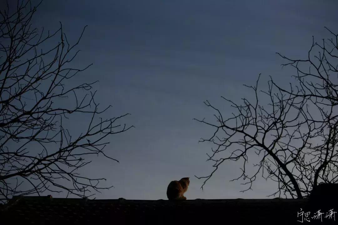 怎么样才是正确的曝光,曝光一定要正确吗