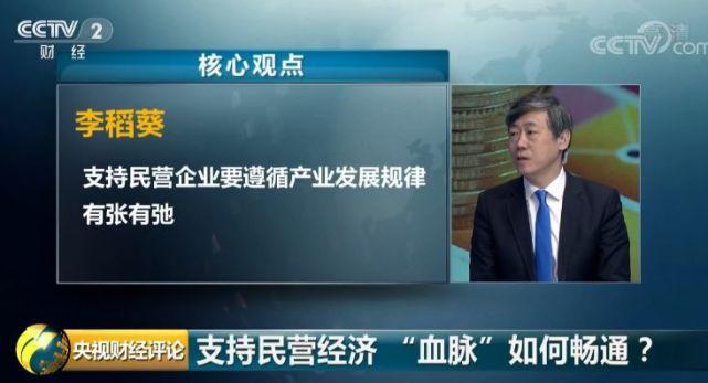 2019民营企业融资问题,民营企业融资现状及解决对策大纲