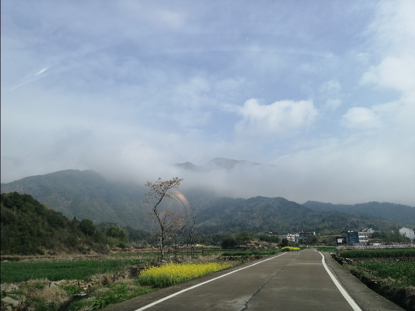 四明山哪里有山黄精,上方山三宝之一黄精