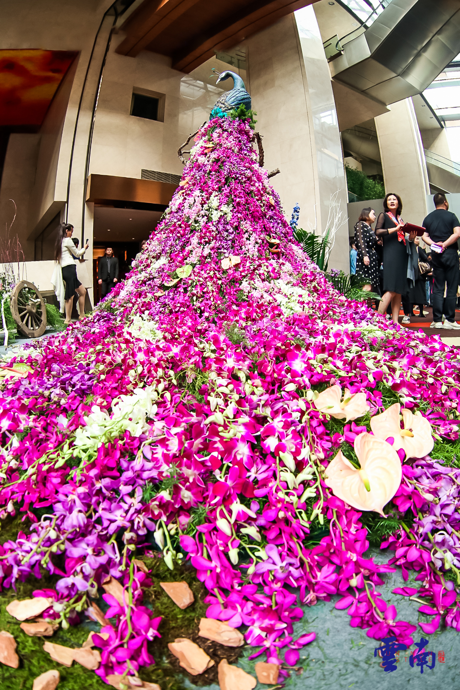 用古树普洱茶致敬美好生活，看吴晓波是如何解读“百山百味”的？