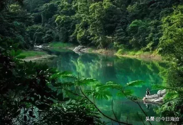 酒店团购厦门嵩屿码头,海沧嵩屿码头附近酒店