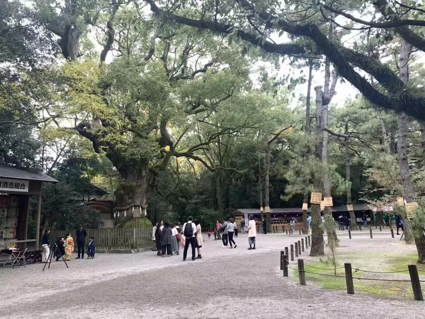 日本名古屋旅游必需品,日本名古屋一日游攻略住宿