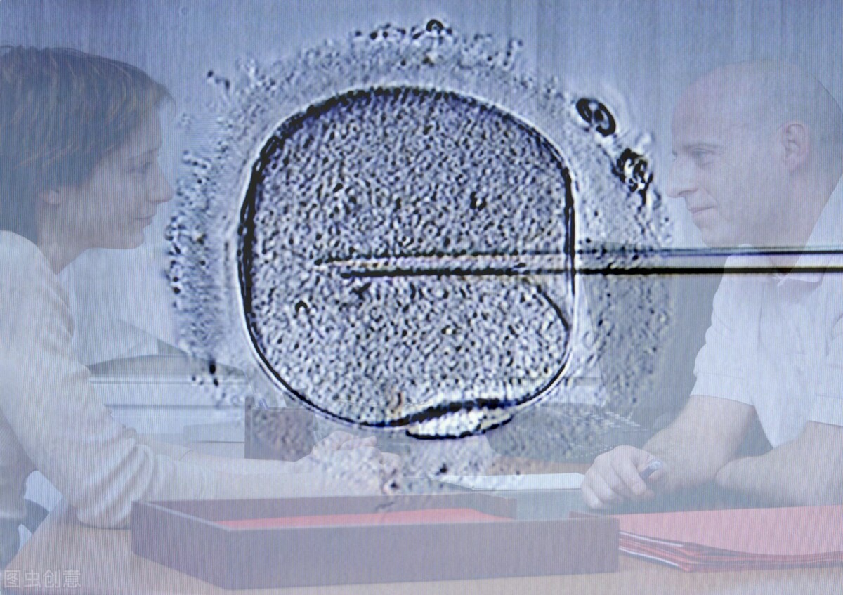 备孕瑜伽提高卵子质量,备孕如何提高卵子质量