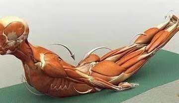 腰椎间盘突出针灸有副作用吗,腰椎间盘突出针灸越来越严重