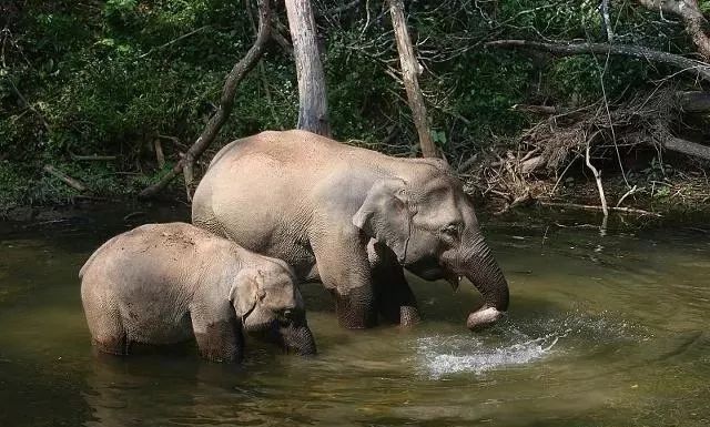 云南最值得玩的地方,云南真正值得玩的地方