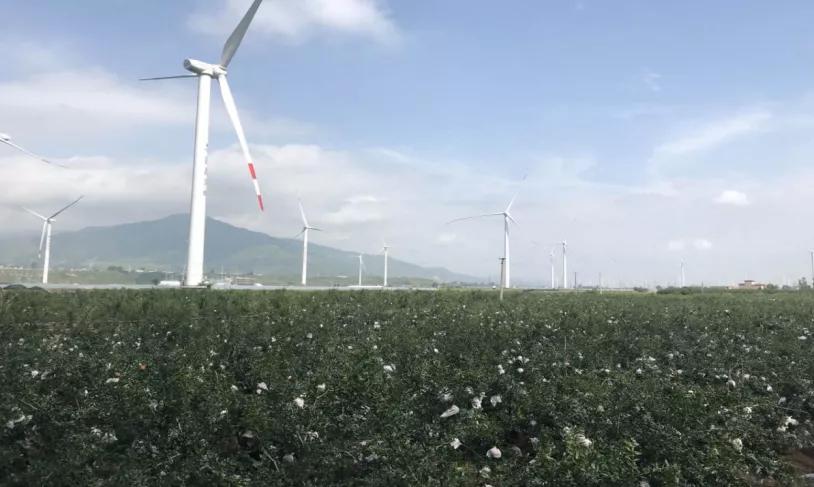 西昌黄联关镇：小石榴做出大文章软籽石榴映“红”乡村致富路