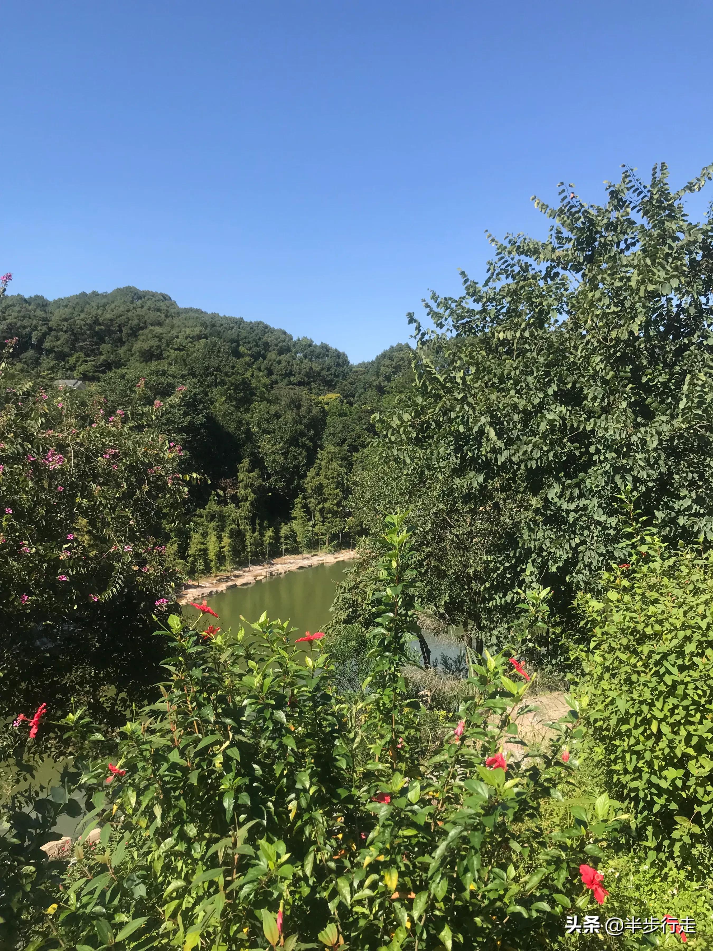 广州帽峰山自驾游攻略天氧山庄,广州帽峰山属于哪个区