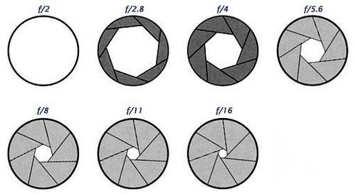 摄影新手入门从零开始学摄影,学好摄影后期对摄影有什么帮助
