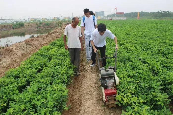 农大毕业怎么找工作,农大毕业现状