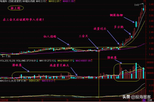 macd实用选股法,macd八种买入形态