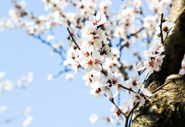 旅居4年,旅居的第四个月