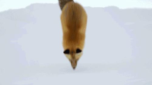 假期儿童纪录片推荐经典,青少年假期推荐纪录片