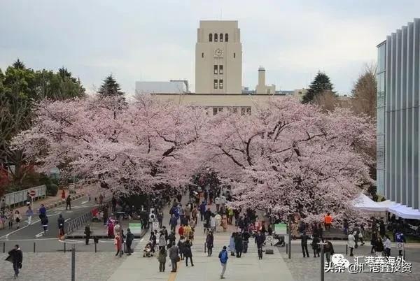 日本是什么样的国家,日本到底是个怎样的国家