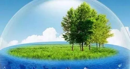 阴道不完整的症状,外阴的不正常形态