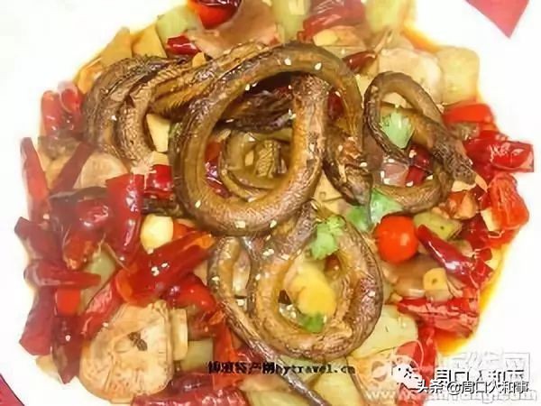 周口项城特产排行榜前十名,项城特产