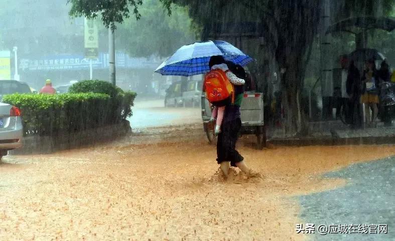 应城新闻今日,2019应城新闻今日头条