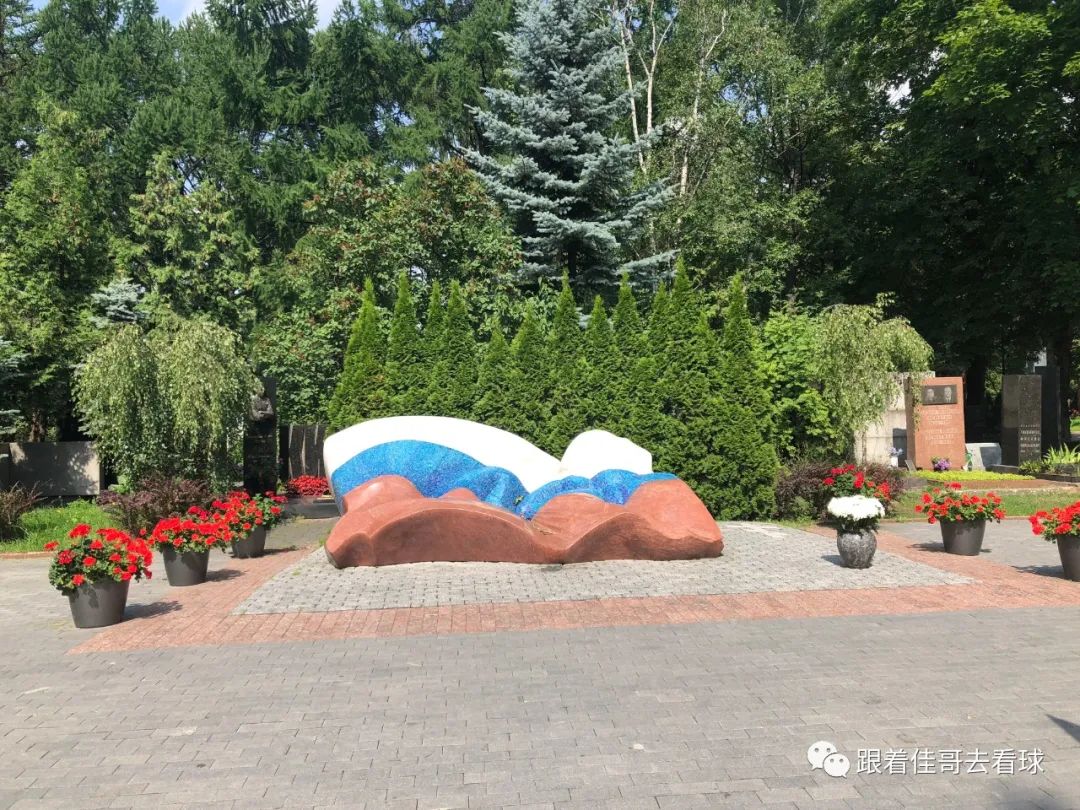 2018俄罗斯世界杯纪录片,2018俄罗斯世界杯俄罗斯集锦