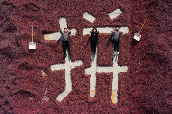 拼多多陈磊,拼多多陈磊毕业