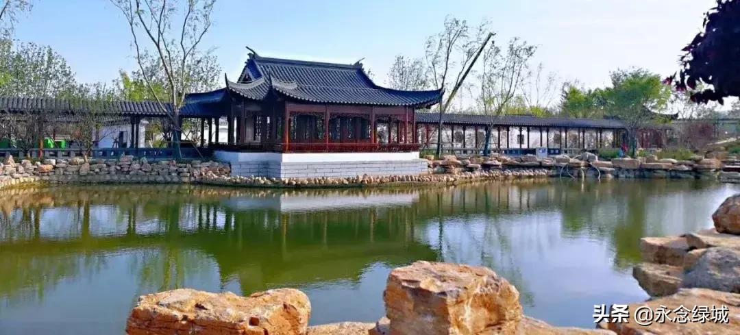 南阳世界月季大观园开幕邀请,南阳月季大观园门票现在免费政策