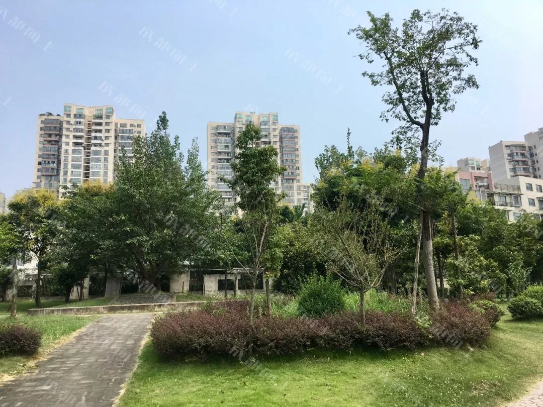 成都13号线娇子立交站出入口,成都13号地铁娇子立交站位置