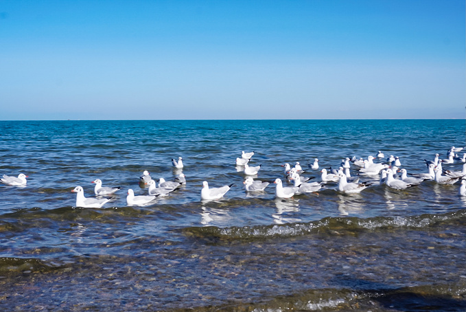 去一趟大西北的旅行,大西北旅行青藏高原