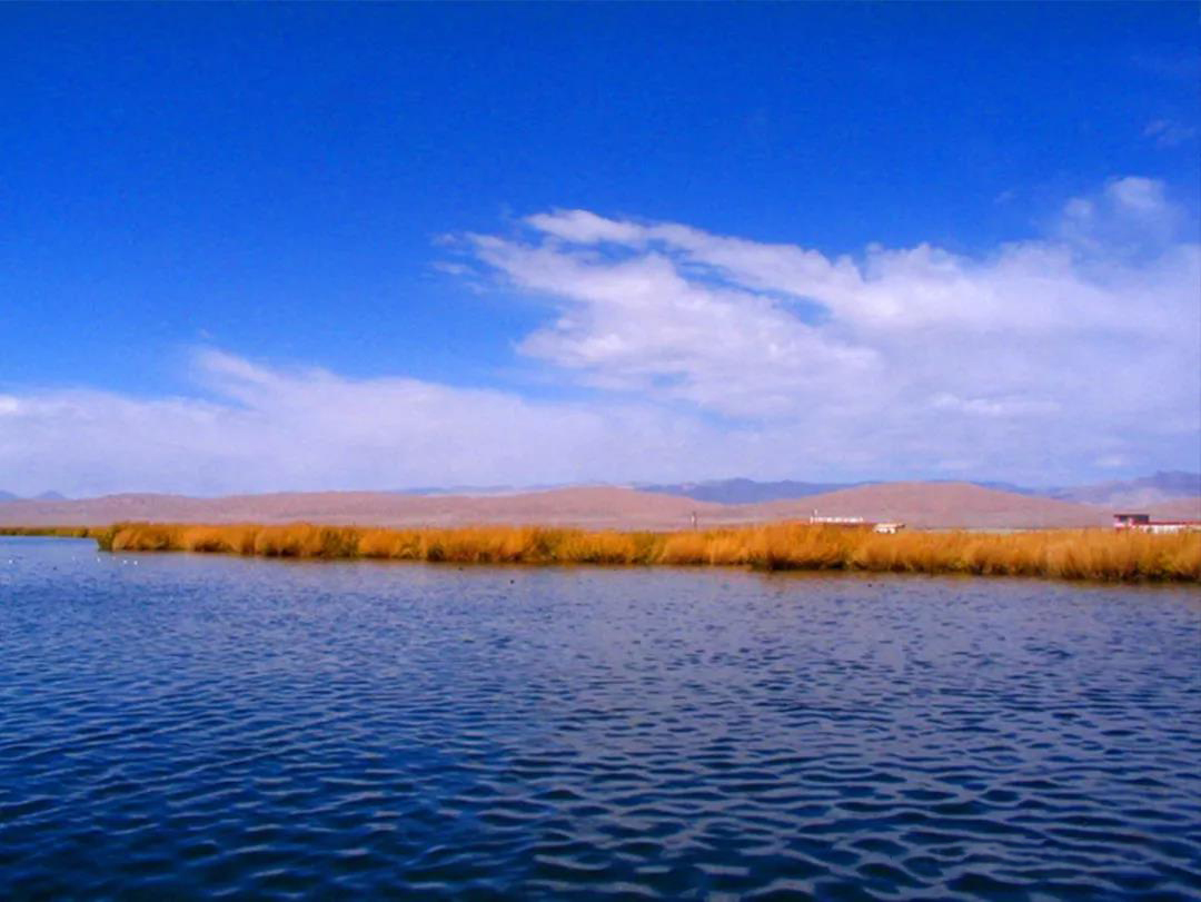 德令哈是一个美丽的地方,德令哈为什么被称为诗歌之城