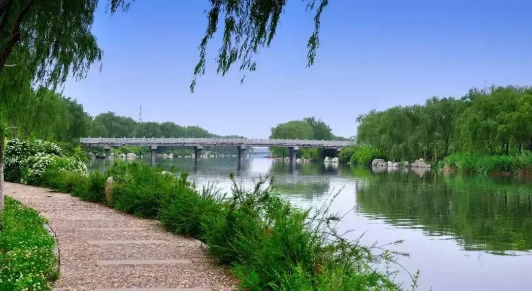 父母那一辈经历过什么,父母的70年代是啥样的