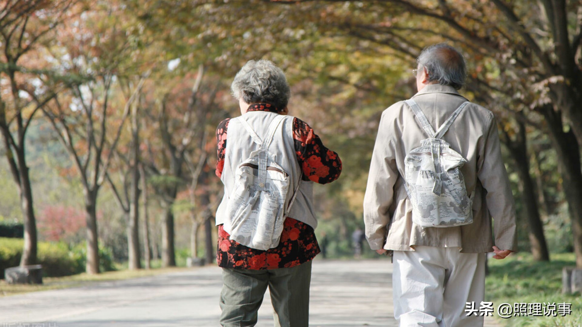 揭秘低价旅游团的盈利模式,旅行社老年人免费旅游
