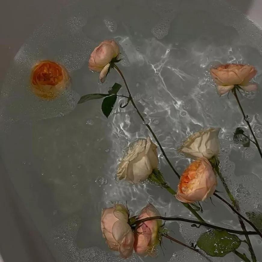 小众文案短句干净,生活小众文案高级有深度