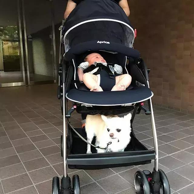 母婴必买的四种产品,日本妈妈母婴品