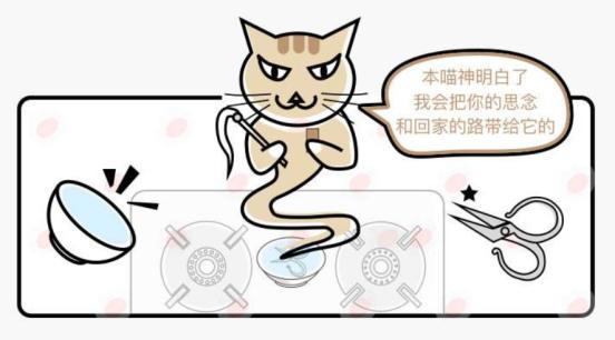 猫咪丢了最快找猫咪的方法,找回猫咪后应该怎么办