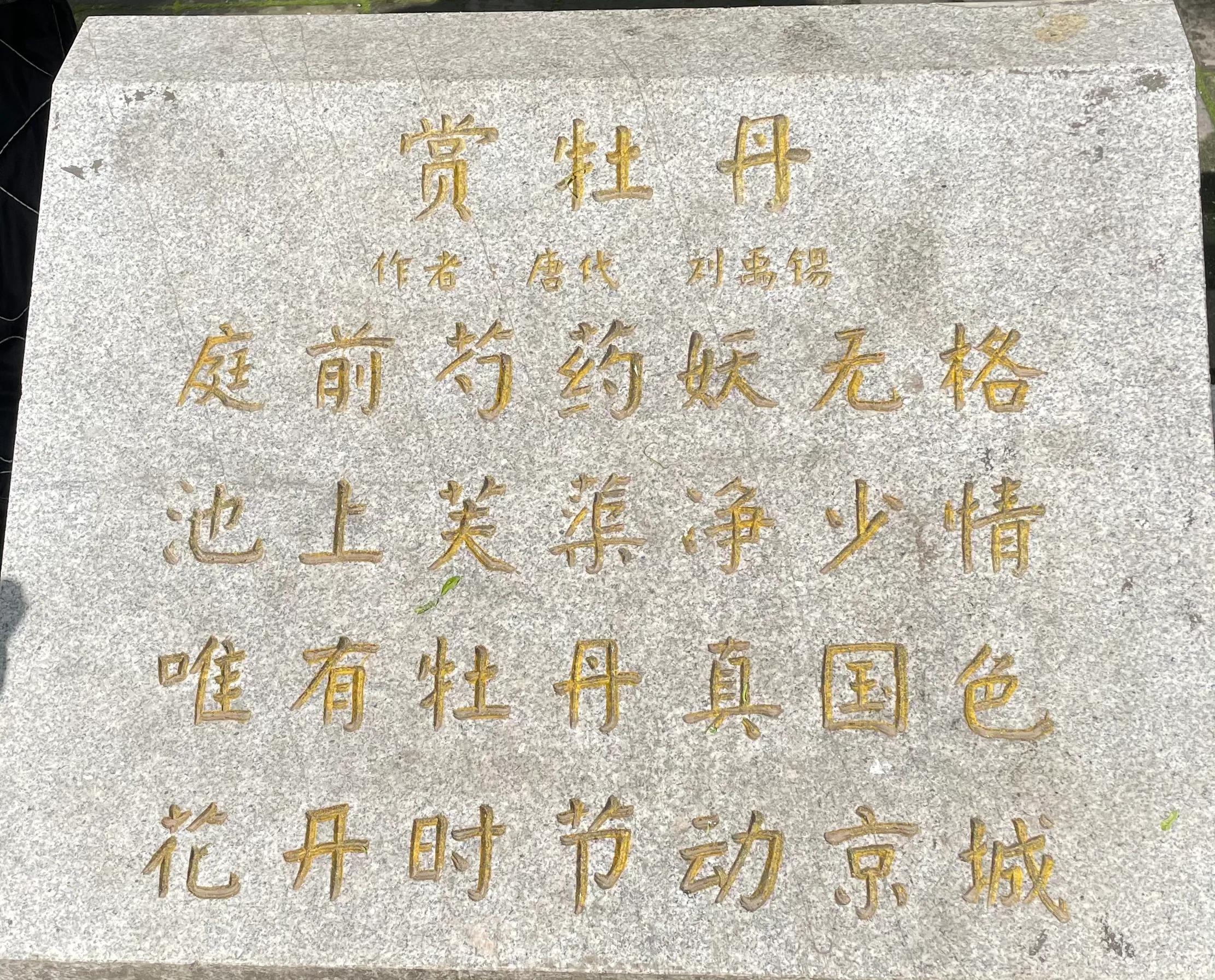 记录50岁的快乐之旅,30岁之前的生日之旅