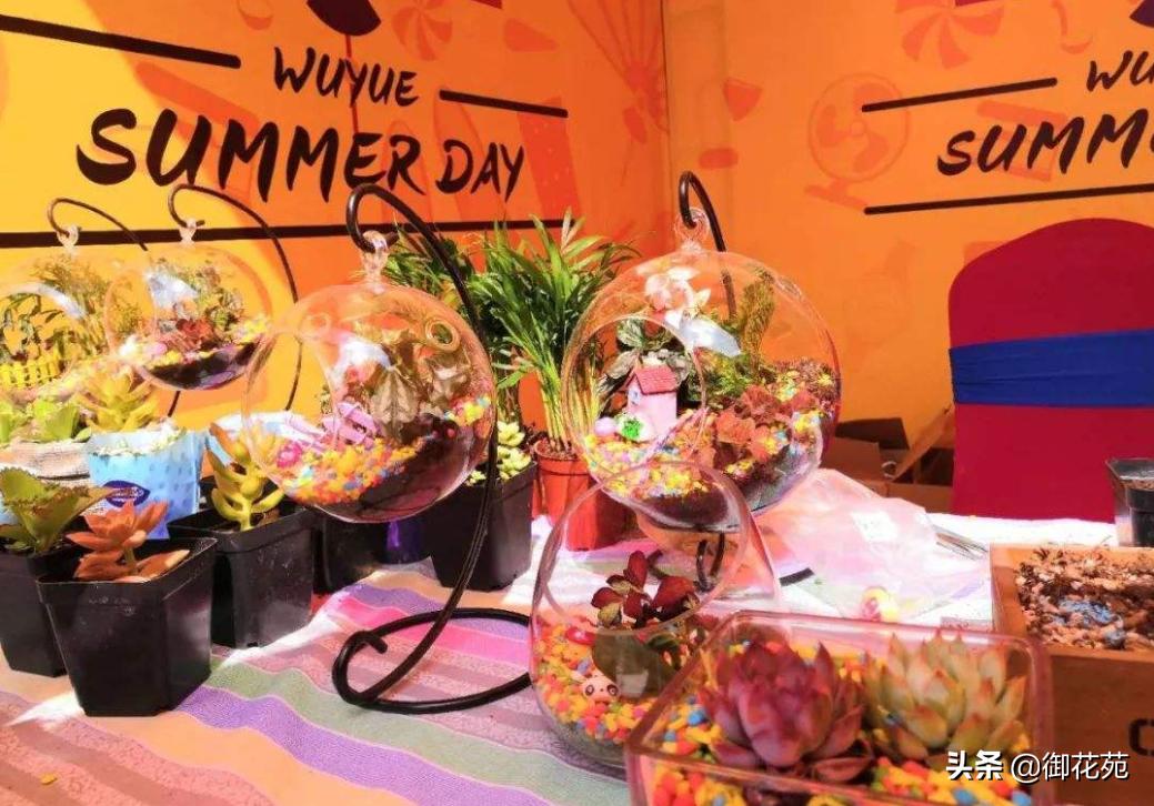 微景观杀虫,微景观怎么处理小虫子