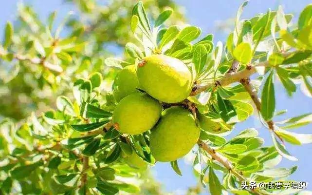 冬天干燥皮肤蛇皮,冬天冷皮肤粗糙