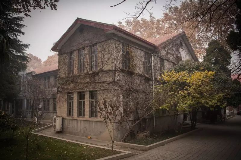 校园表白最佳方式,校园女生怎么表白立马成功