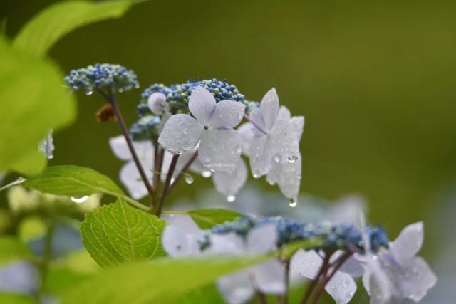 昆明附近一个人玩的地方,昆明周边城市适合一个人去的地方