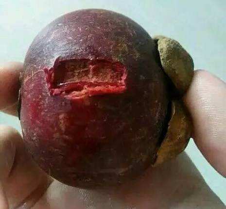 山竹水果皇后作用,水果山竹的功效与禁忌